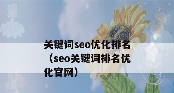 如何通过企业网络优化提升排名（在竞争激烈的市场中）