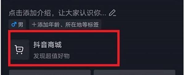 TikTok店铺体验分是什么（探究TikTok商家如何提升店铺体验分）