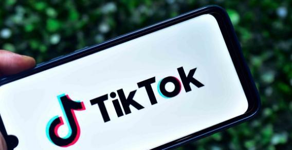 Tiktok类目快速涨粉攻略（15个实用技巧助你成为Tiktok涨粉高手）