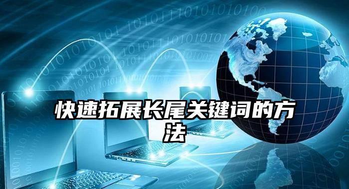 网站挖掘技巧方法（掌握这些技巧）