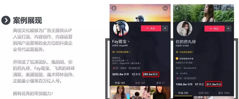 抖音盒子商品准入标准解析（了解抖音盒子商品入驻所需的要求）