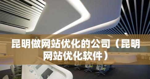 如何选择一家专业的SEO优化公司（提高网站排名）