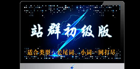 如何进行SEO站群建站及优化策略（从选择到链接构建）
