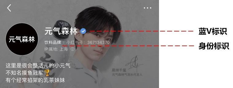 小红书如何进行蓝V认证（蓝V认证的意义与步骤）