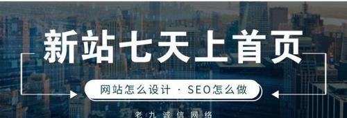 新网站如何快速收录排名（从优化技巧到营销策略）