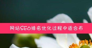 合理布局的技巧（如何让布局更加科学合理）
