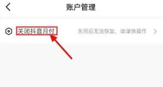 抖音月付还款方式全解析（掌握关键步骤）