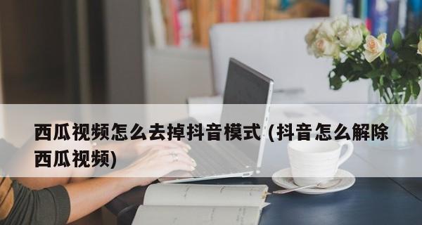 抖音教程（详细步骤让你的视频链接营销更高效）