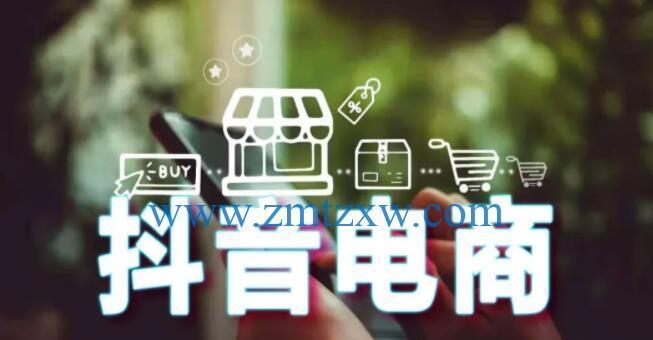 抖音分销卖货，轻松实现月入万元（利用抖音平台）