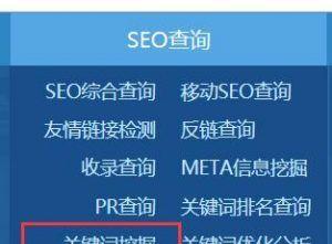 企业网络SEO优化技巧（如何选择最优）