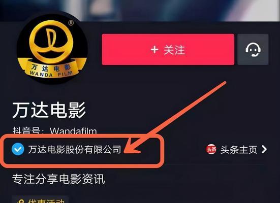抖音视频伙伴计划视频要求详解（让你的抖音视频脱颖而出）
