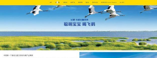 上海网站设计的优势在哪里？