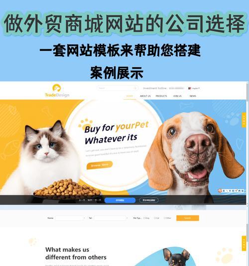 如何选择专业的网站开发公司？