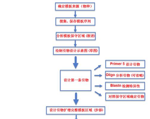 引物设计网站如何使用？有哪些注意事项？