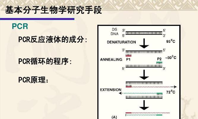 引物设计网站如何使用？有哪些注意事项？