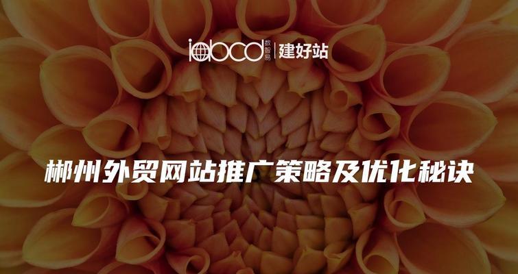 网站推广有哪些有效策略？如何衡量网站推广的效果？