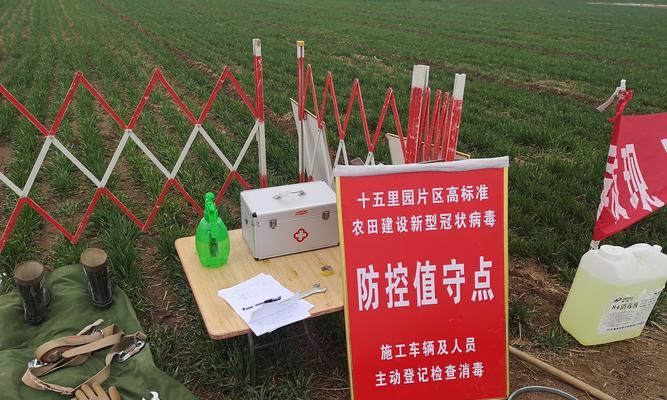 阳谷网站建设的常见问题有哪些？如何解决？
