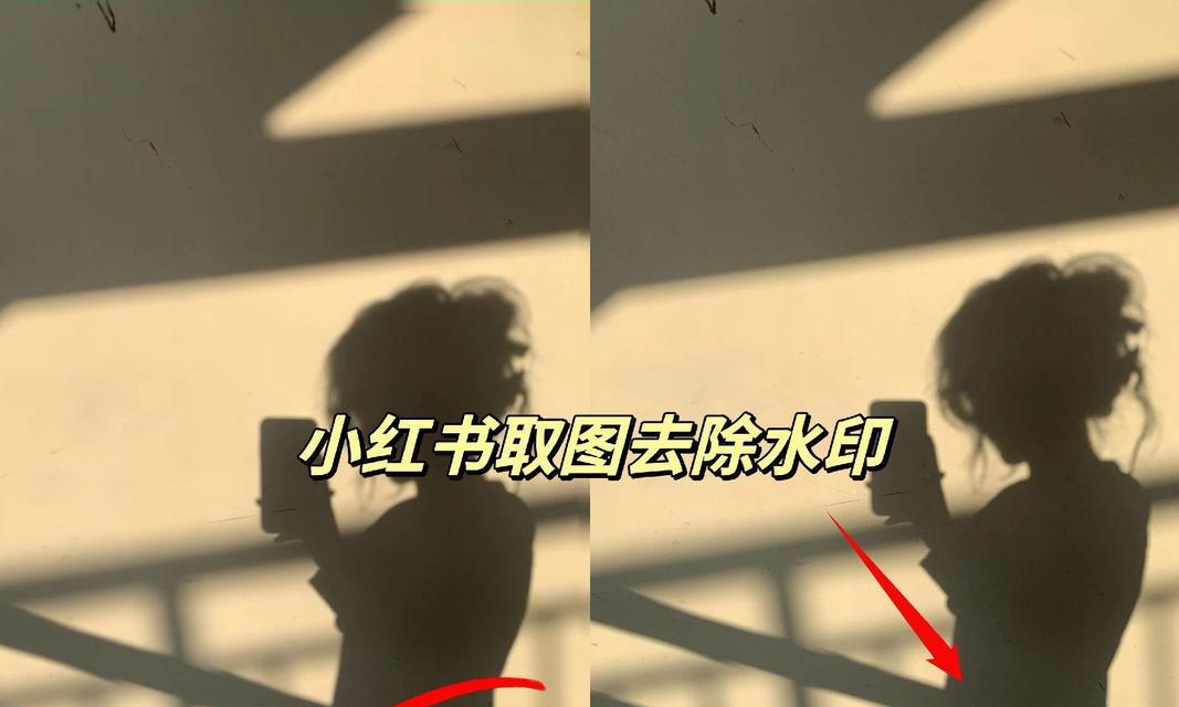 小红书视频去水印技巧是什么？