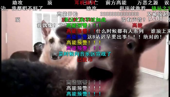 如何在B站查弹幕？弹幕查询有哪些技巧？