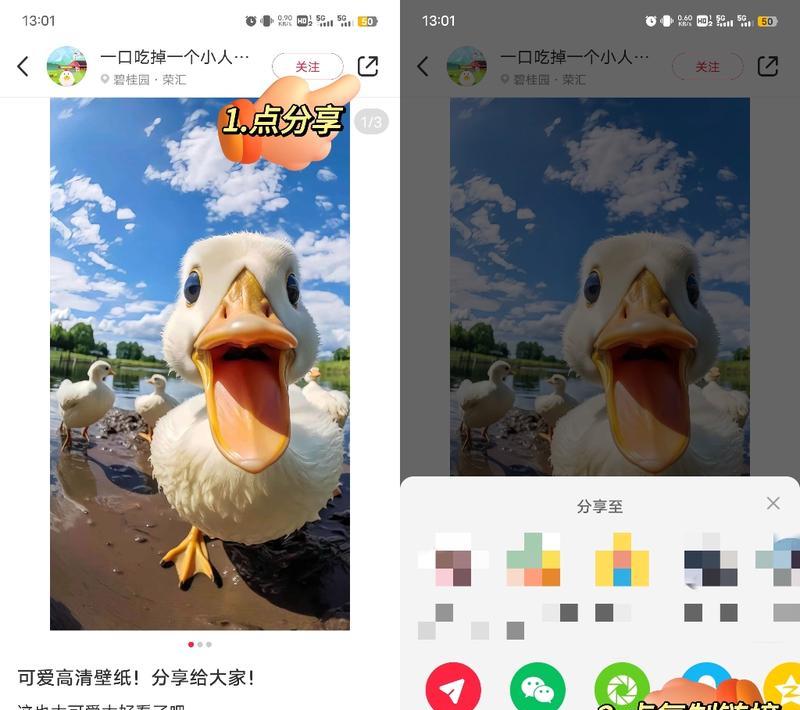 如何下载小红书视频的无水印版本？