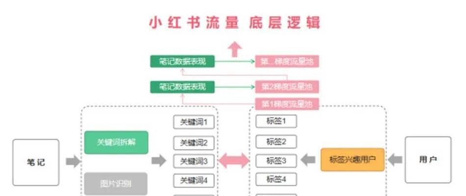 如何有效使用小红书搜索功能？