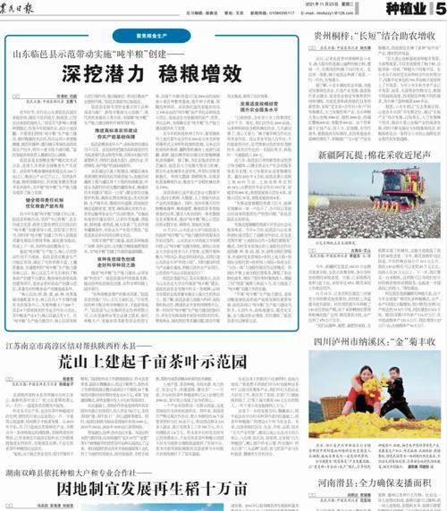 临邑网站建设的费用和周期如何？
