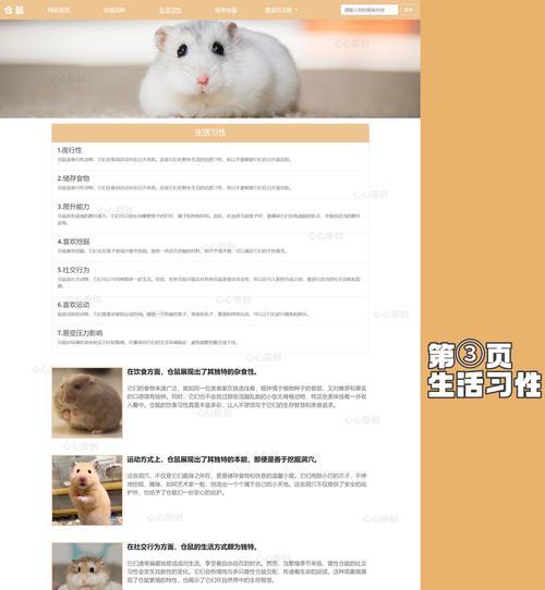 网站模板如何选择？网站模板的优缺点是什么？