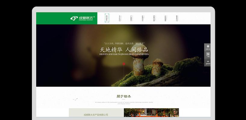 成都网站建设哪家公司好？如何选择一家专业的网站建设公司？