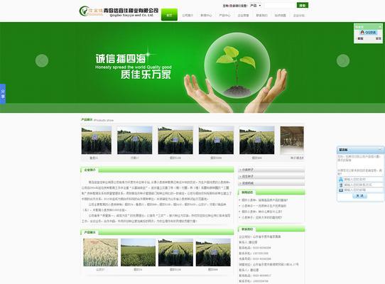 青岛网站设计如何融入SEO元素？