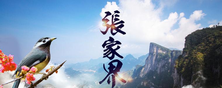 张家界网站建设如何吸引游客？有哪些特色服务？