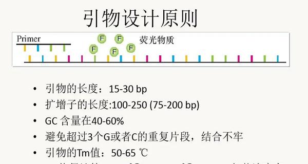 引物设计网站如何选择？选择最佳引物设计平台的五个关键点是什么？