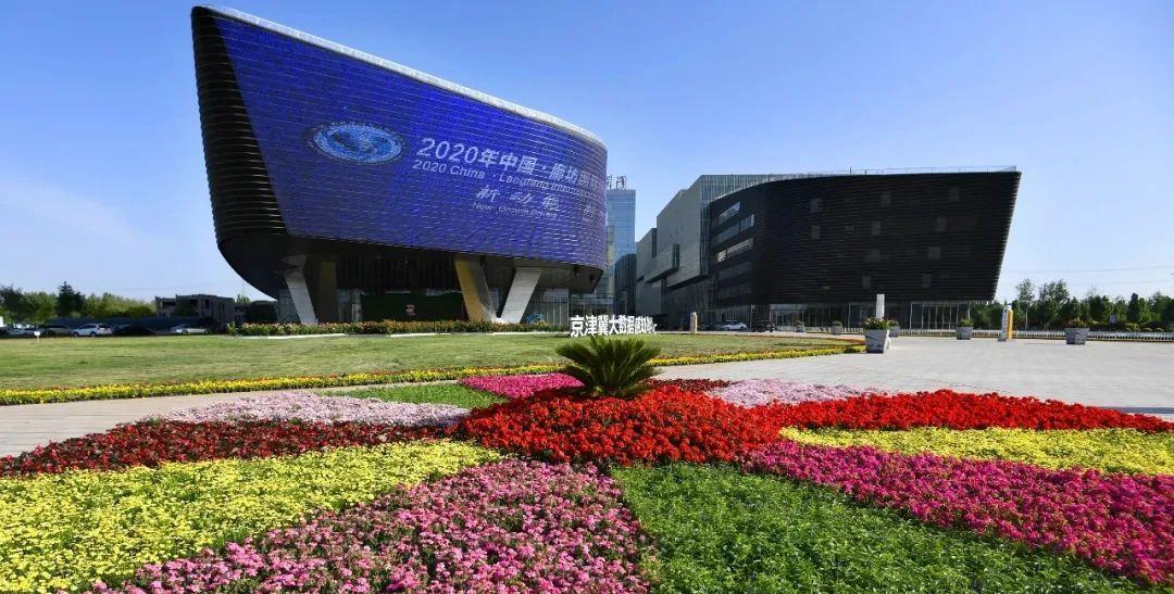 廊坊网站建设的市场前景如何？
