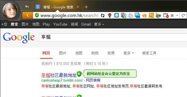 哪些外国搜索引擎支持匿名搜索？