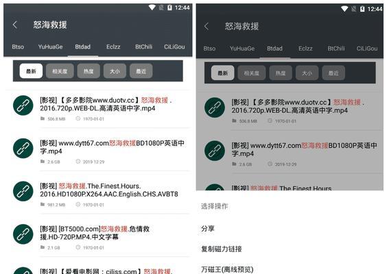 磁力搜索引擎不同版本有何区别？如何选择合适的版本？