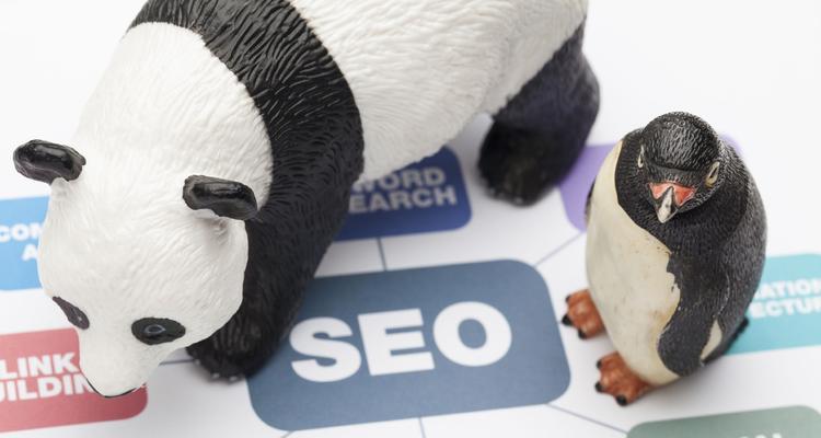 玉环seo是什么意思？如何进行有效的玉环地区seo优化？