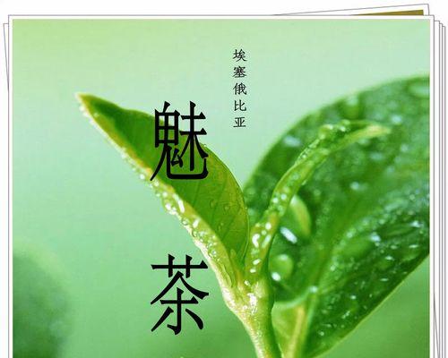 seo耶加雪啡是什么？如何利用它进行优化？