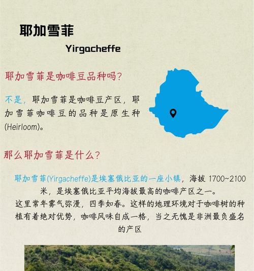 seo耶加雪啡是什么？如何利用它进行优化？