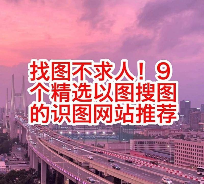 搜索引擎排行图片大全如何查找？
