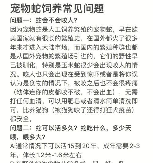 如何进行seo文章校对？常见问题有哪些？