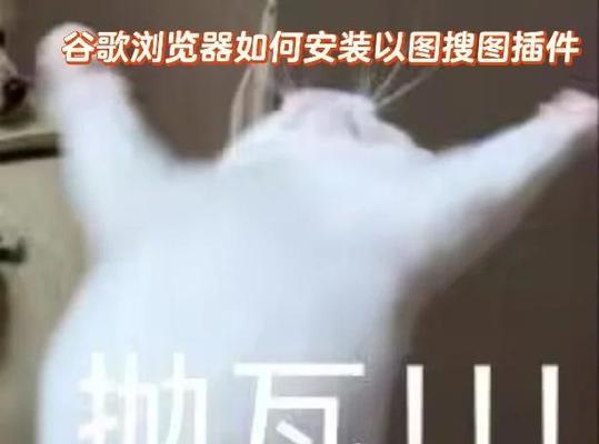 怎么换搜索引擎谷歌？如何设置和使用谷歌搜索引擎？